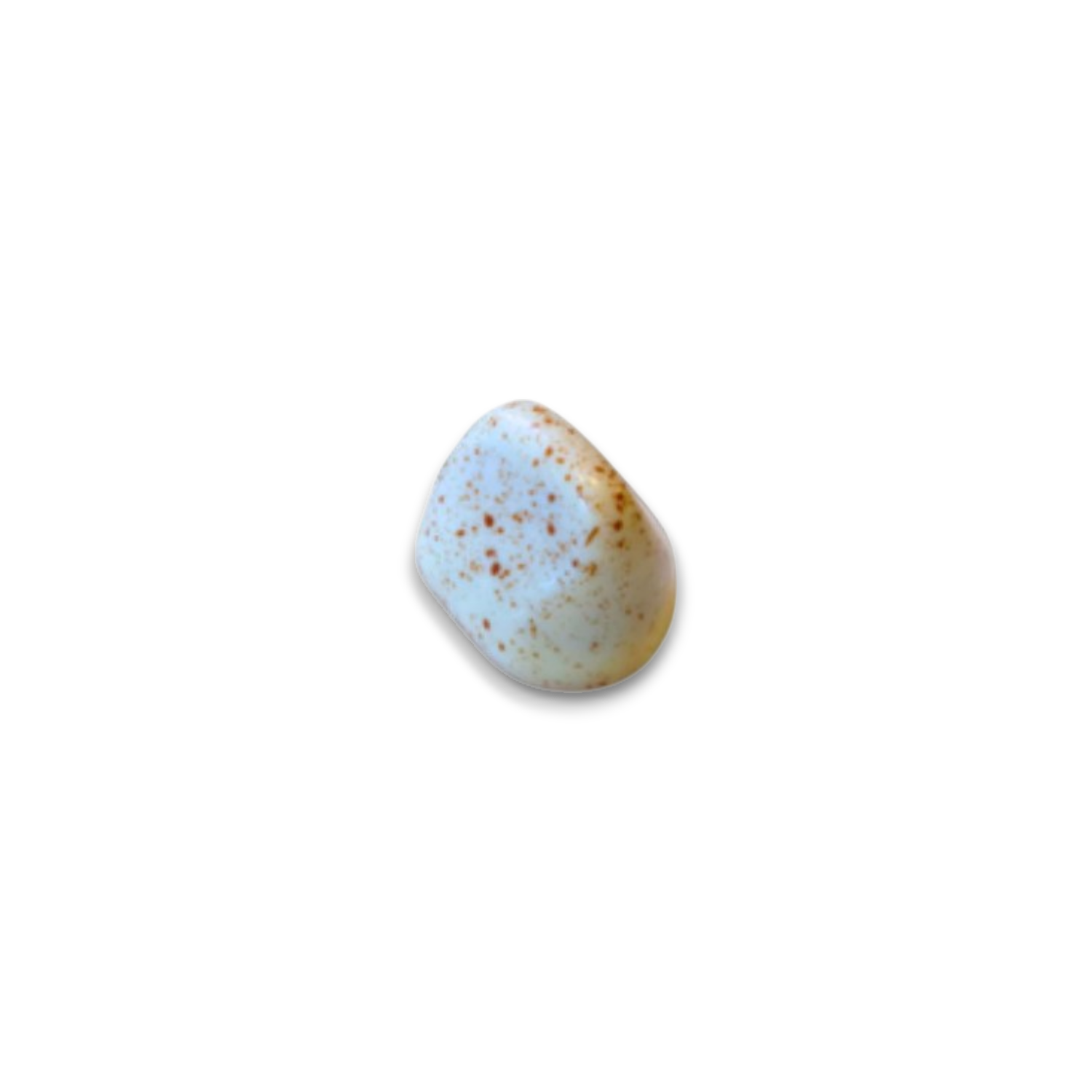 Bombon Coco crocante - Caramel Chocolatería