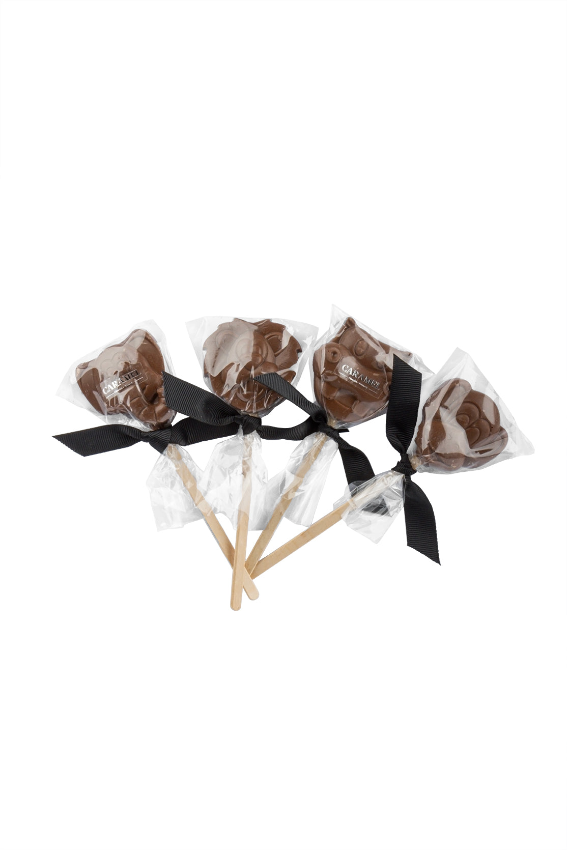 Paleta zoo