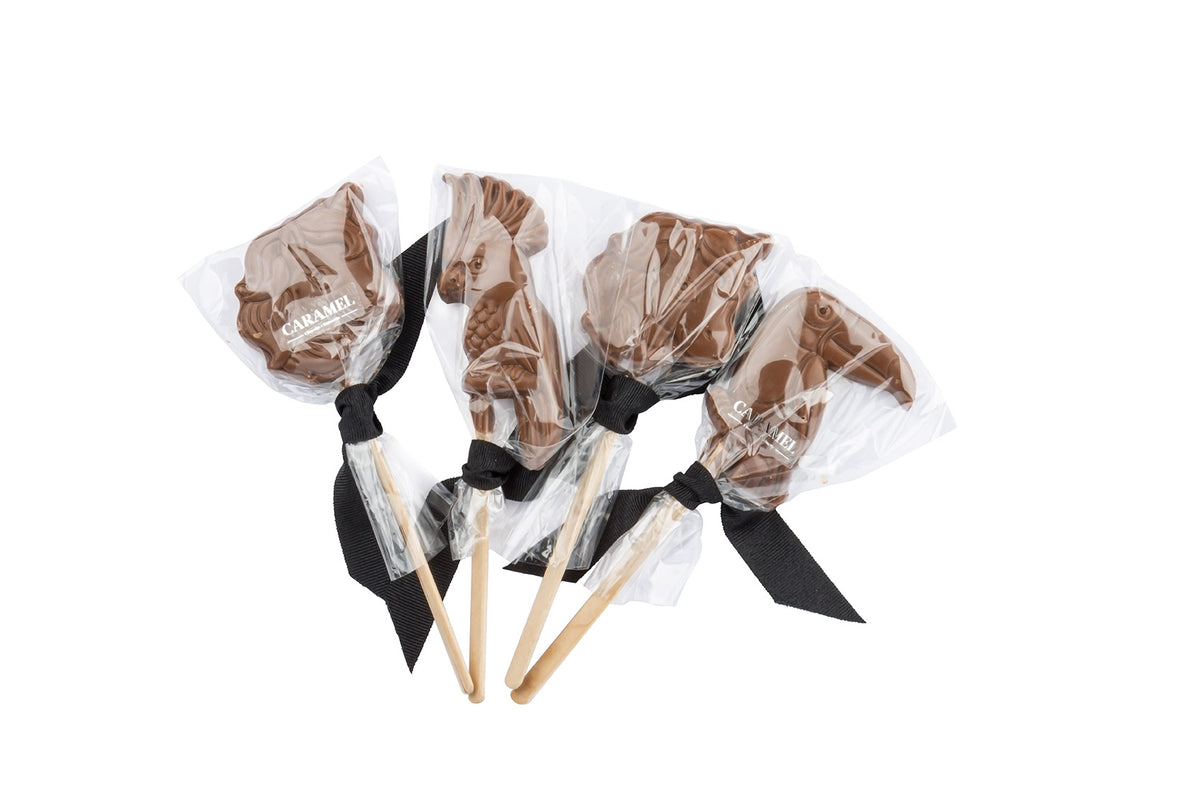 Paleta s/a